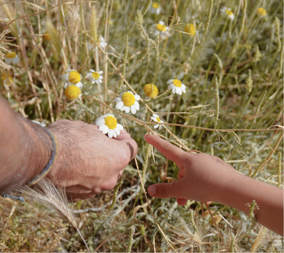 El Poder del Mindfulness: Técnicas para Incorporar en Tu Rutina